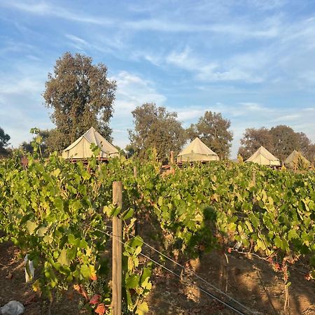 ואלה דה גוואדלופה Lago Valle Wine Glamping מראה חיצוני תמונה