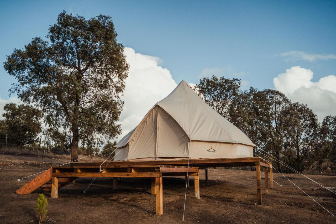 ואלה דה גוואדלופה Lago Valle Wine Glamping מראה חיצוני תמונה