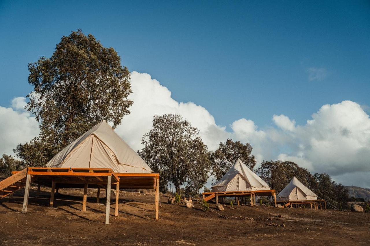 ואלה דה גוואדלופה Lago Valle Wine Glamping מראה חיצוני תמונה