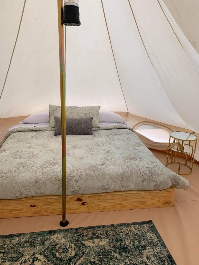 ואלה דה גוואדלופה Lago Valle Wine Glamping מראה חיצוני תמונה