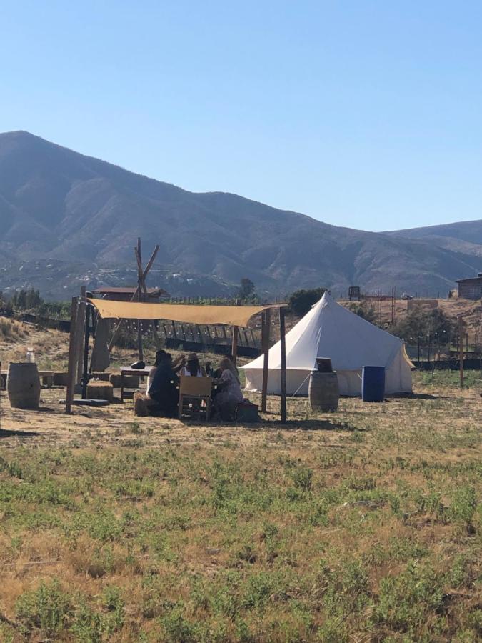 ואלה דה גוואדלופה Lago Valle Wine Glamping מראה חיצוני תמונה