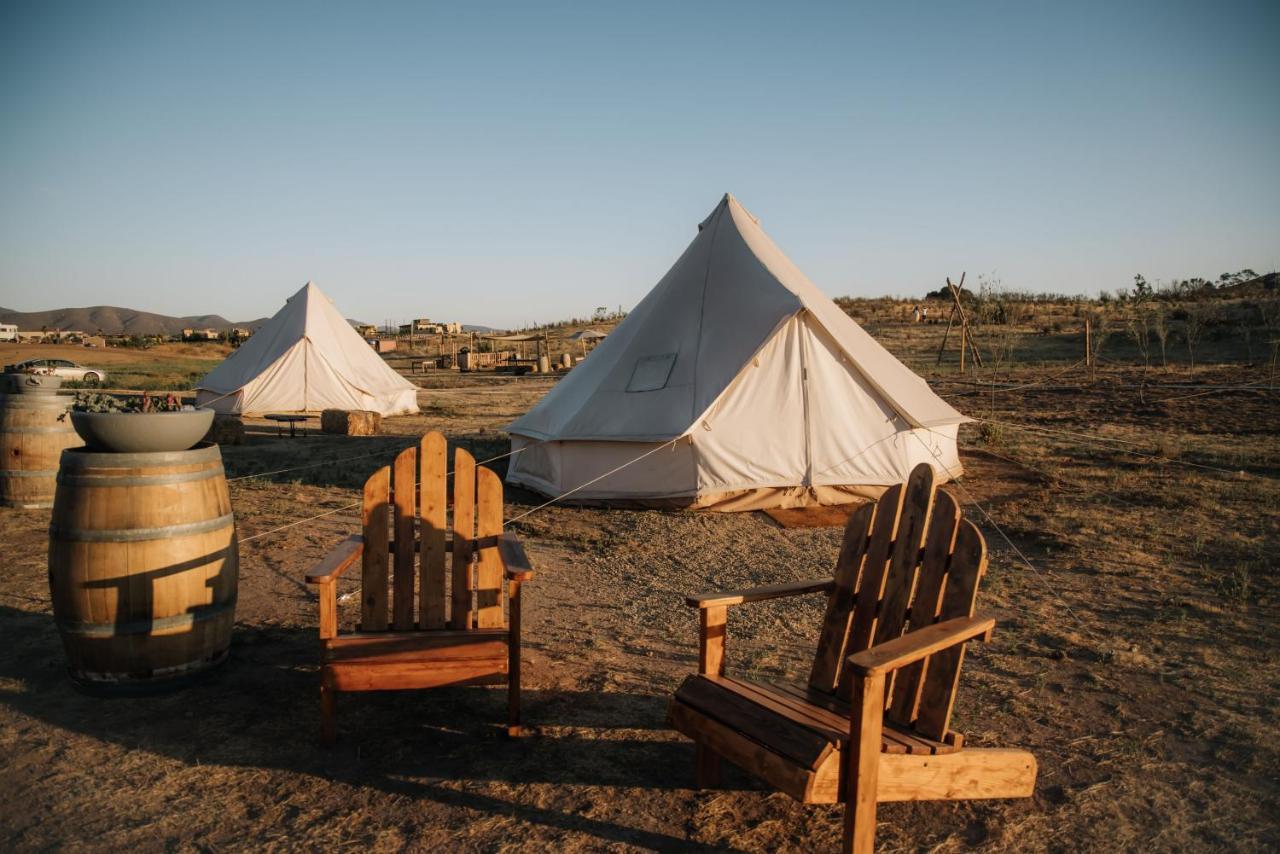 ואלה דה גוואדלופה Lago Valle Wine Glamping מראה חיצוני תמונה
