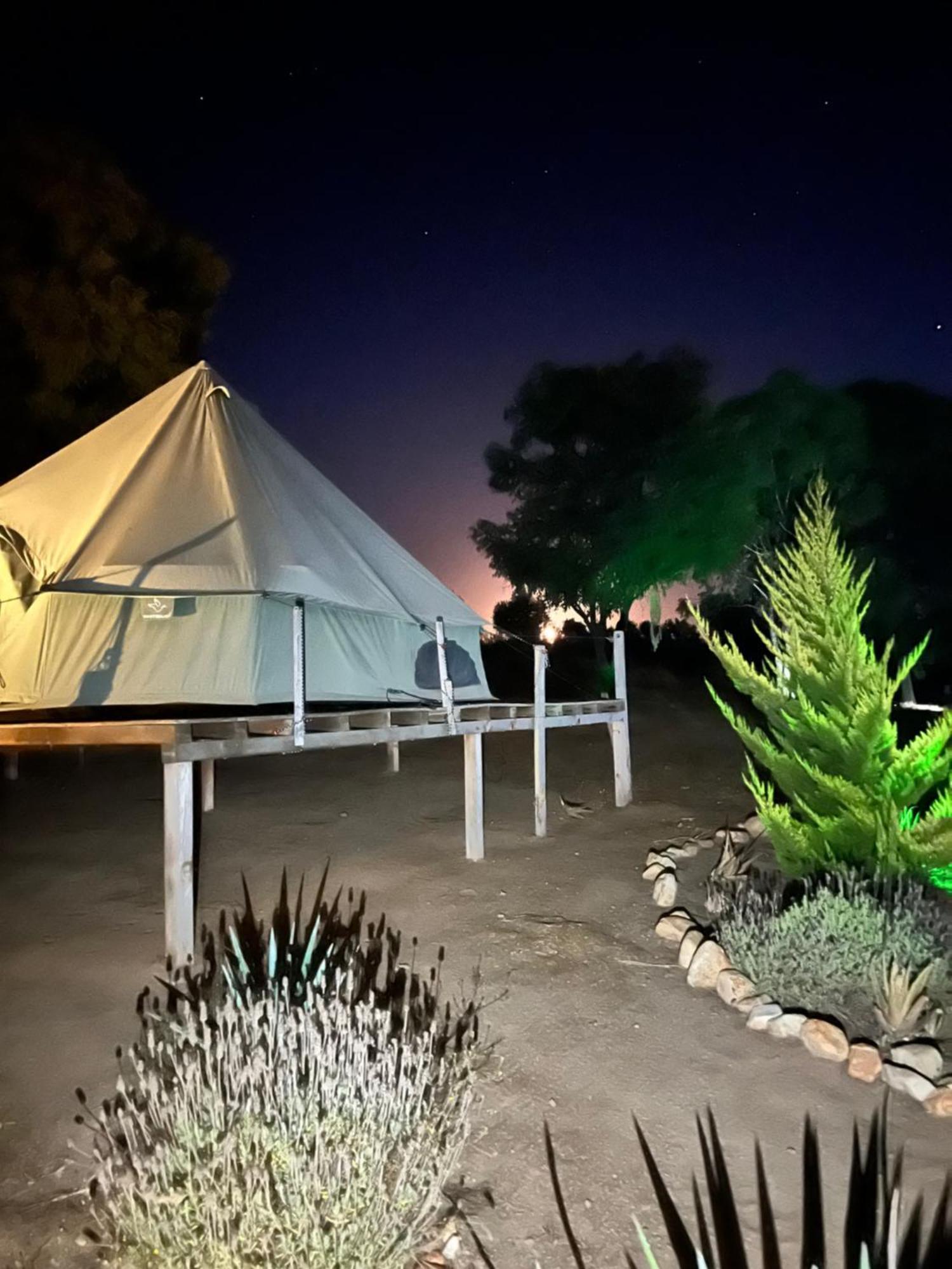 ואלה דה גוואדלופה Lago Valle Wine Glamping מראה חיצוני תמונה